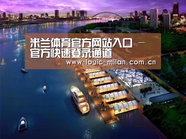 案例展示八