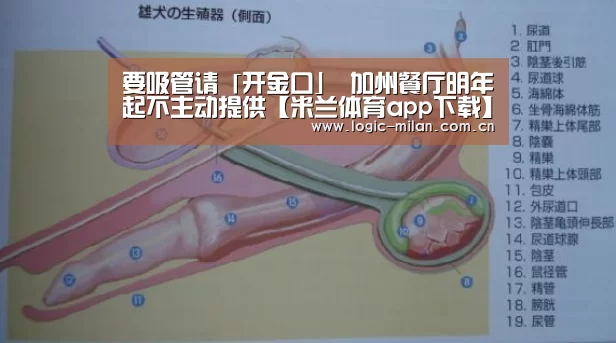 要吸管请「开金口」 加州餐厅明年起不主动提供【米兰体育app下载】(图2) 米兰体育app网址