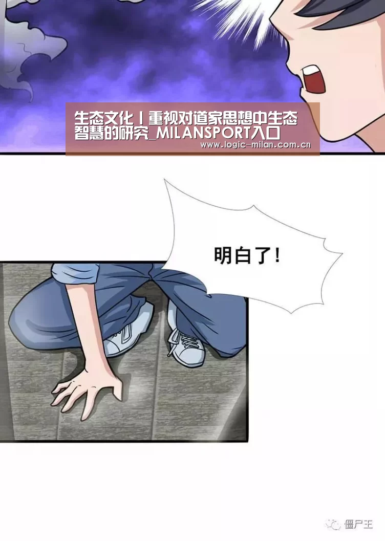生态文化丨重视对道家思想中生态智慧的研究_MILANSPORT入口(图2) MILANSPORT入口