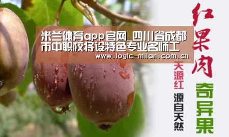 米兰体育app网址