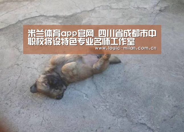 米兰体育app官网