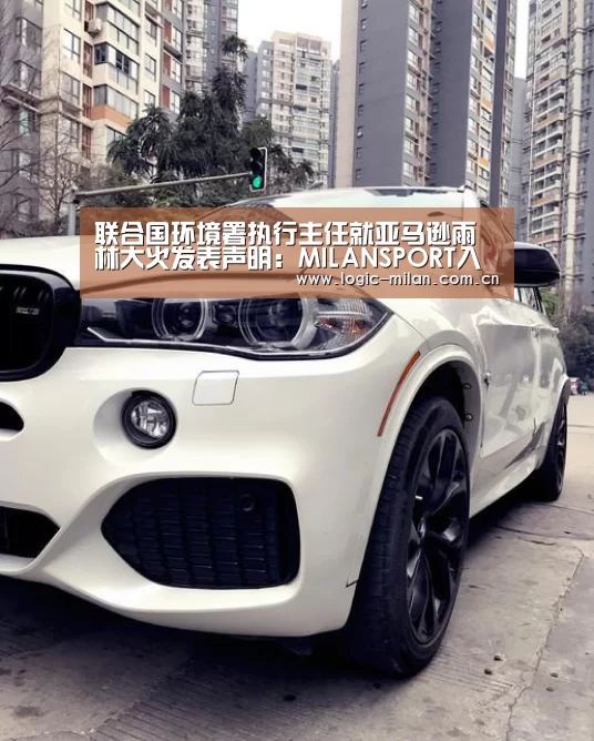 联合国环境署执行主任就亚马逊雨林大火发表声明:MILANSPORT入口(图1) 米兰体育app官网