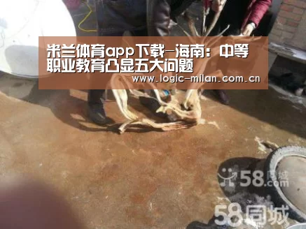 米兰体育app下载-海南:中等职业教育凸显五大问题(图3) 米兰体育app官网